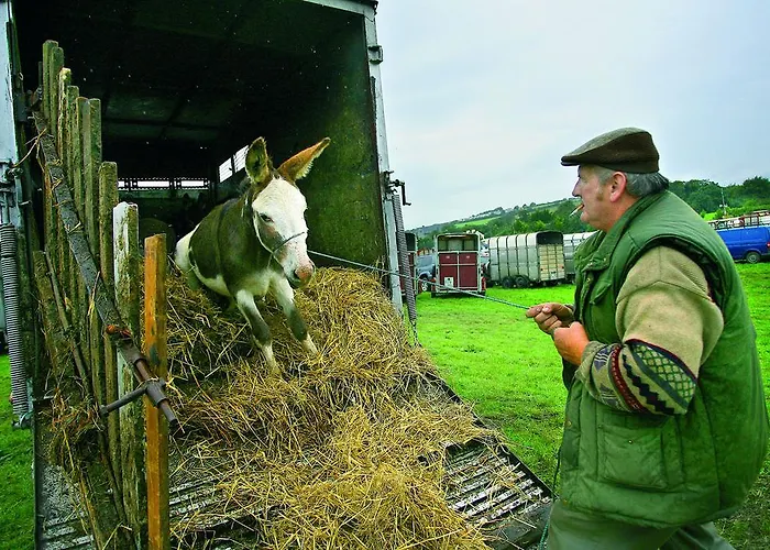 River Island Szálloda