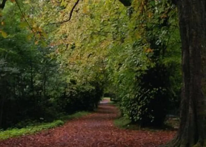 River Island Szálloda